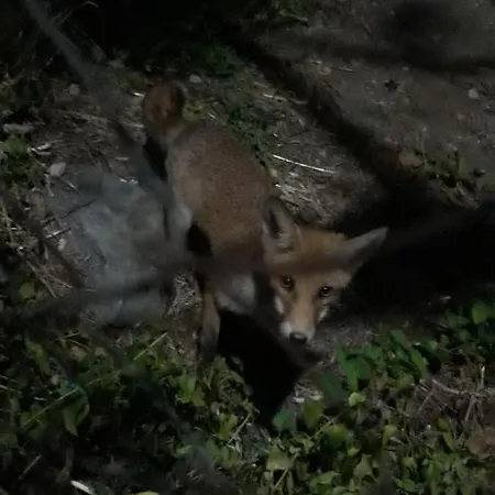 The Ambassador - Traditional Stone House 度假居 Katochori