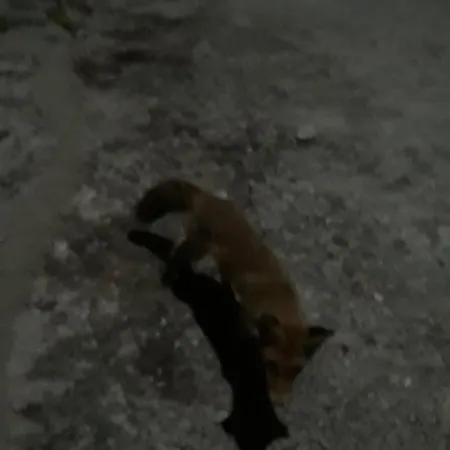 The Ambassador - Traditional Stone House 度假居