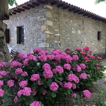 The Ambassador - Traditional Stone House *