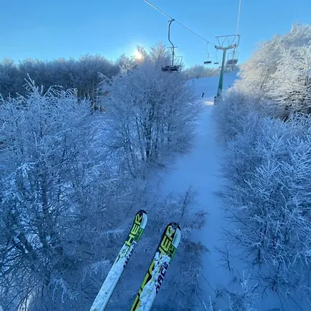 The Ambassador - Traditional Stone House